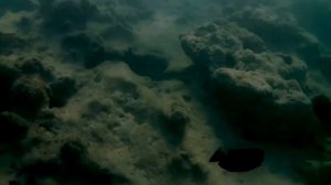 Красное море 2