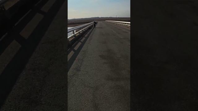 Хапуги ловят везде,рыбалка с высокого моста) #рыбалка #хапуга #fishing #carpfishing смотреть онлайн