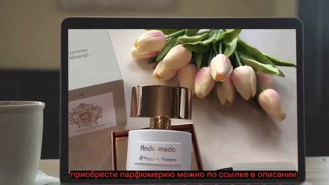Andromeda Parfum смотреть онлайн