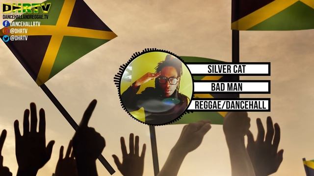 Silver Cat - Badman Stop the Violence