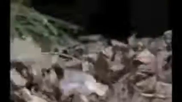 Орёл ты или утка смотреть онлайн