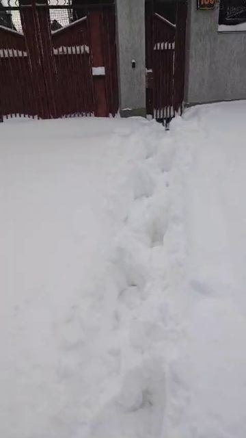 Ставрополь засыпает снегом супруга прислала видео вот такие вот сугробы Серёга Орлов на связи