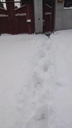 Ставрополь засыпает снегом супруга прислала видео вот такие вот сугробы Серёга Орлов на связи