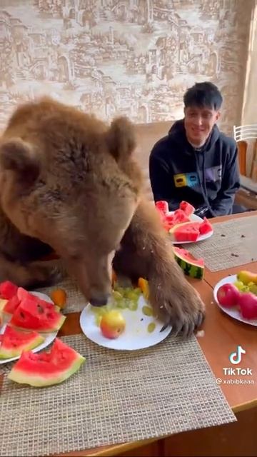 Хабиб Мне кажется кто-то много ест смотреть онлайн