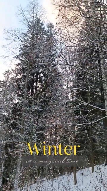 Зимняя сказка... #зима #winter #snow #снег #лес #forest #nature #природа #путешествия #travel смотреть онлайн