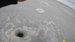 ЧУДСКОЕ ОЗЕРО!!!НАПОРОЛИСЬ НА СТАЮ.ЗИМНЯЯ РЫБАЛКА.РЫБАЛКА В ФЕВРАЛЕ.