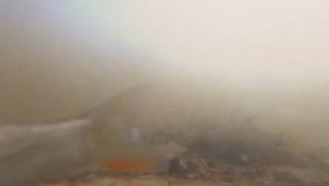 Подводный мир Юхоти