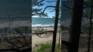 Латвия. Ужава/ Latvia.Užava #latvia #latvija #латвия #природа #balticsea