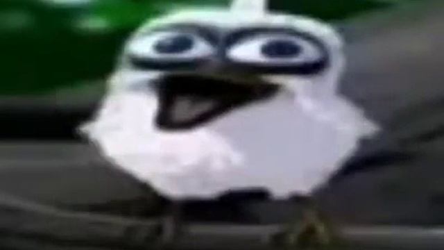 ПТИЦА ГРОМКО КРИЧИТ, УБАВЬТЕ ЗВУК!!! смотреть онлайн