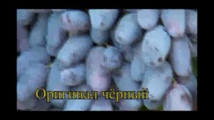 Оригинал чёрный