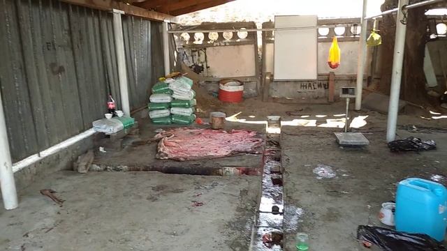 Садақа Жария Абай ауылы.Карасай ауданы(1) смотреть онлайн