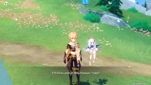 Salsa Viewpoint Quest Location | Genshin Impact смотреть онлайн