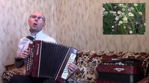 "Ромашки спрятались".(Песня из к/ф"Моя улица".1971 г).Кавер-версия.Гармонь.
