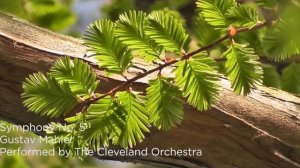 Mindful Music Moment | Mahler 5