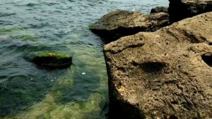 ОДЕССА. Дикий пляж. #одесса #море #пляж