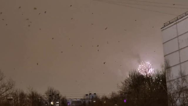 Реакция птиц на салют в Москве смотреть онлайн