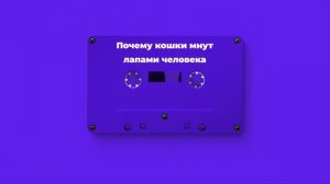 Почему кошки мнут лапами человека