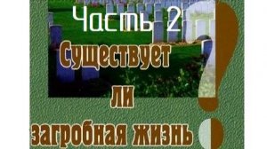 Часть 2. Существует ли загробная жизнь? Павел Рогозин