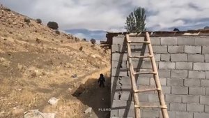 31.10.2023 Разрыв цепей путь матери к самодостаточности