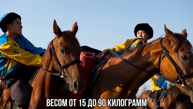 Тренировочный муляж для кокпар