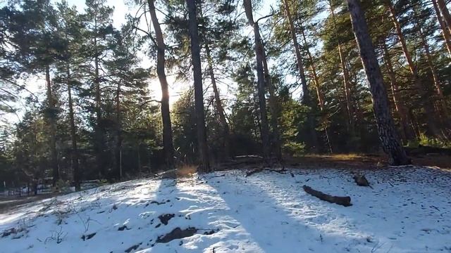 Winter forest, sounds of nature. Звуки природы в зимнем лесу. Релакс природы смотреть онлайн