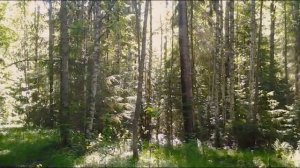 ЛЕСНАЯ БЕСКОНЕЧНОСТЬ (360p) И. С. Бах ТКТ Прелюдия No 9 Ми мажор - клавесин Kenneth Gilbert