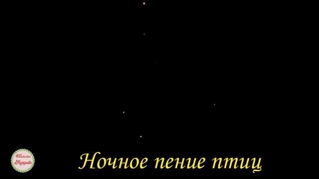Ночное пение птиц смотреть онлайн
