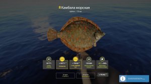 Русская рыбалка 4-Камбала трофейная-2 штуки) Фарм на 34 банки