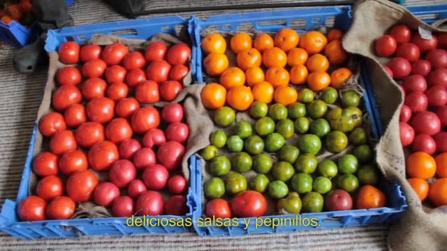 CLiCK Indiegogo Construction Project Campaign смотреть онлайн