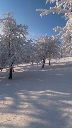 А вы видели такую красоту когда нибудь. #табасаран