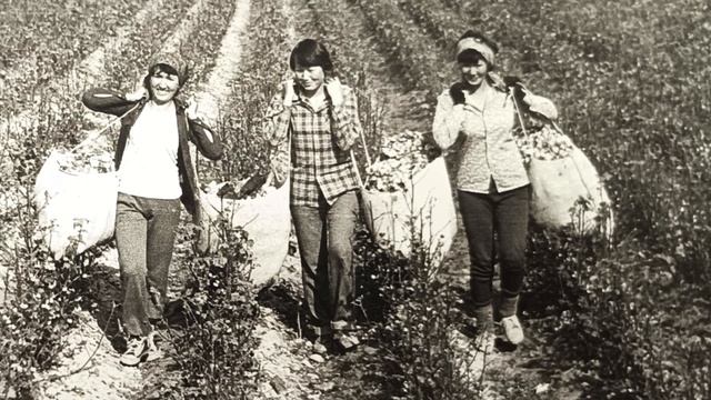 Премьера песни "Сорок лет"- автор и исполнитель Кайрат Муминов. Клип - Ашир Муминов.