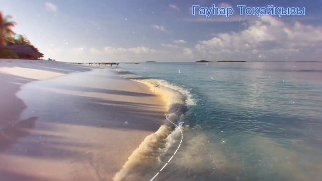 "Ақ арманым". сөзі: Мықтыбек Зәуірбековтікі. әні: Гауһар Тоқайқызынікі. орын - н: Гауһар Тоқайқызы смотреть онлайн