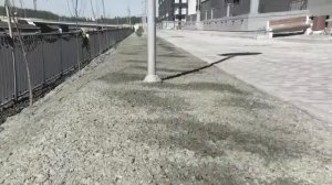 Второй этап Гидропосева газона в Санкт- Петербурге - посев газона