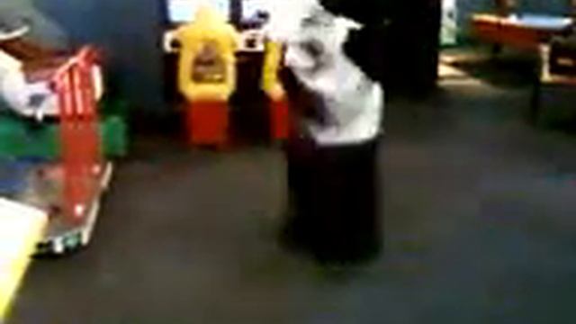 Waz Panda Shuffle смотреть онлайн