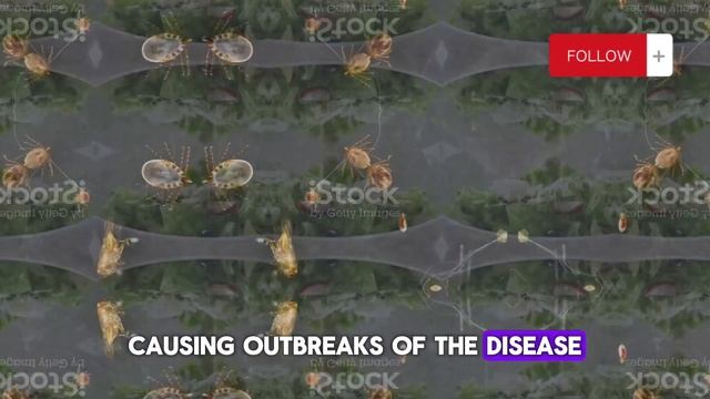 Bioterrorism смотреть онлайн