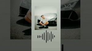 Садраддин - Ант/2022