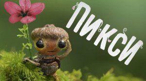 Настольная игра "Пикси". Правила + Let's Play.
