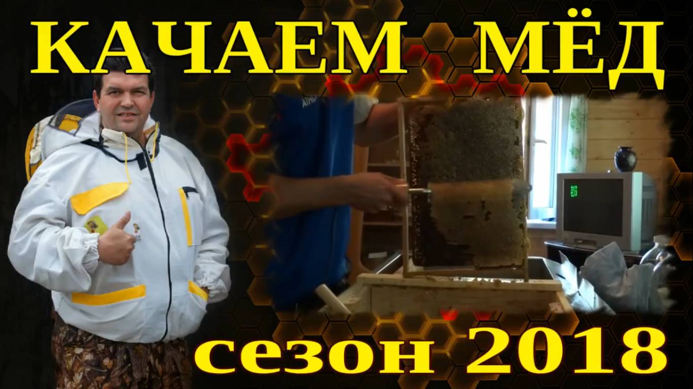 КАЧАЕМ МЁД. КАК КАЧАЮТ МЁД ИЗ СОТ. КОГДА КАЧАЮТ МЁД В СРЕДНЕЙ ПОЛОСЕ.