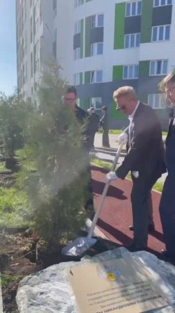 Алея из Туй появилась в Академическом