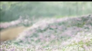 Отыщите мою радость