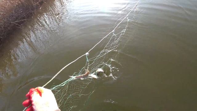 Winter fishing (Зимняя рыбалка) смотреть онлайн