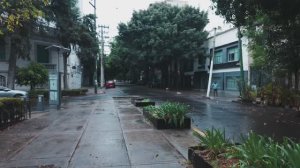 Прогулка под нежным дождем по Мехико!...