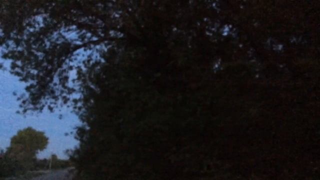 Вечер 21 мая.Кто знает какая птичка поёт?Напишите. смотреть онлайн