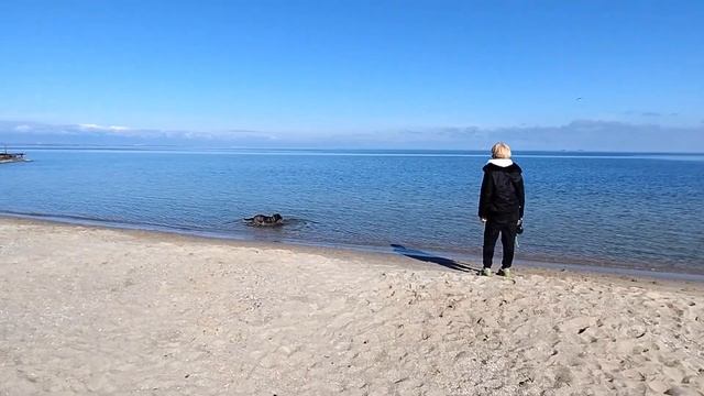 Одесса⚓Сегодня море и небо особенно красивы)🩵💛 #уЧерногоМоря ✨Март 2023