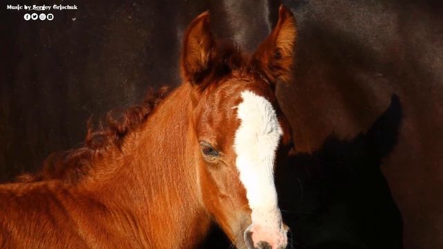 С НАЧАЛОМ ЛЕТА! Это Потрясающая Просто невероятная музыка для души Сергея Грищука! Очень красиво!