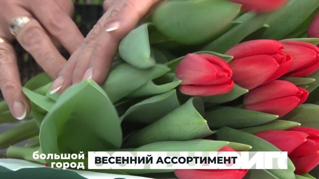 ВЕСЕННИЙ АССОРТИМЕНТ. Большой город 25/02/2025