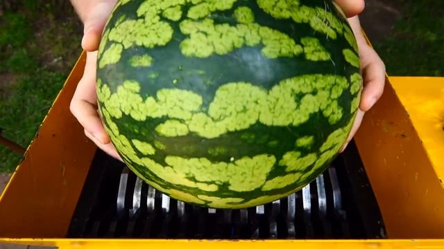 Арбуз огурцы капуста кабачки все  выступили против  безжалостного измельчителя смотреть онлайн