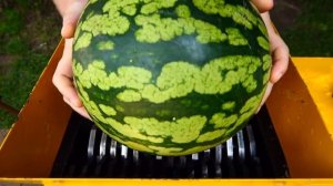 Арбуз огурцы капуста кабачки все  выступили против  безжалостного измельчителя