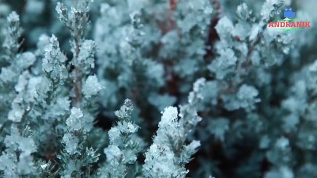 Зимняя мелодия для души смотреть онлайн