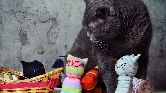 Авторский ролик Виталия Тищенко. Катя и Том смотреть онлайн